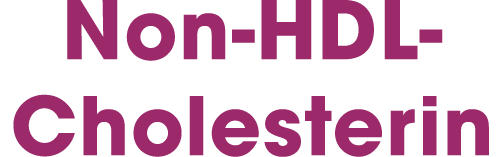 Non HDL Cholesterin