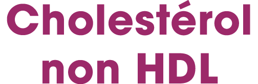 Cholest rol non HDL