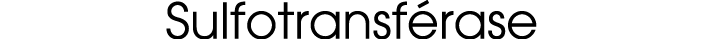 Sulfotransf rase