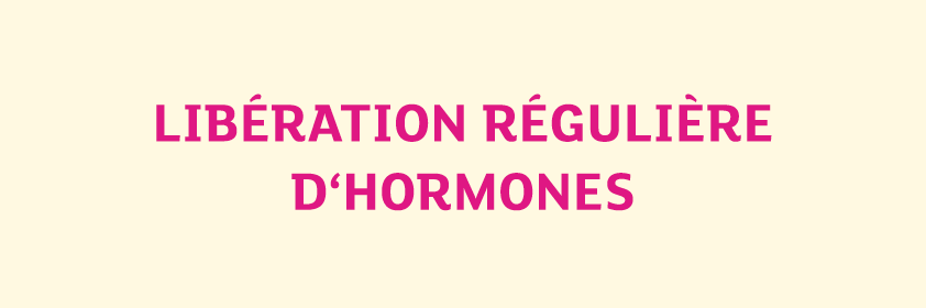 Lib ration r guli re d‘hormones