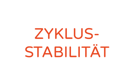 Zyklus stabilit t