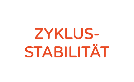 Zyklus stabilit t