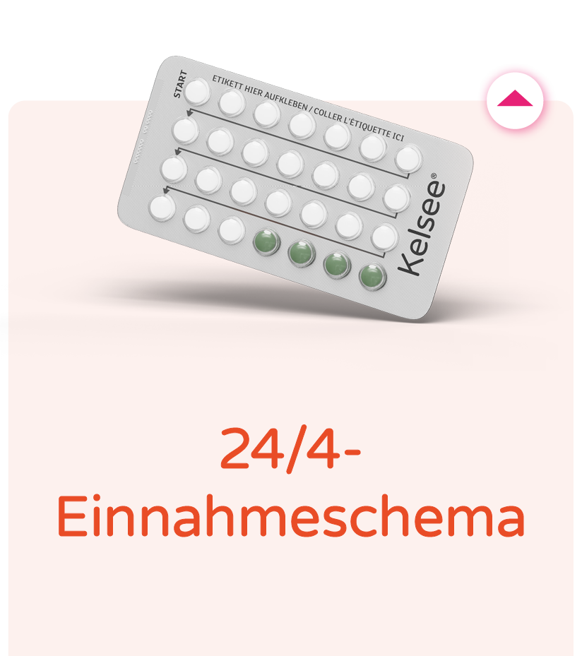 24/4 Einnahmeschema