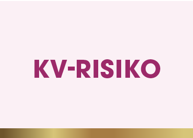 KV Risik