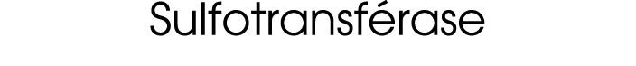 Sulfotransf rase