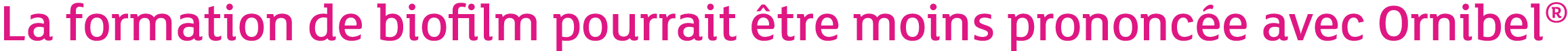 La formation de biofilm pourrait tre moins prononc e avec Ornibel® 