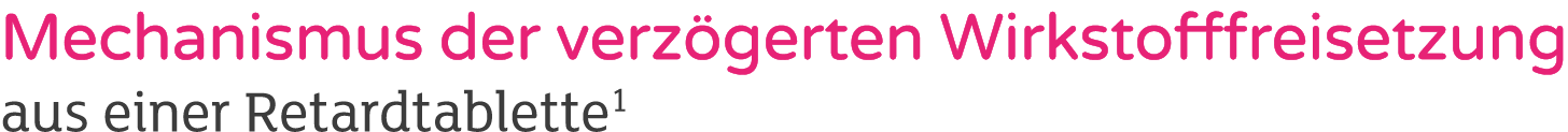 Mechanismus der verz gerten Wirkstofffreisetzung aus einer Retardtablette1